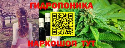 экстази Моздок