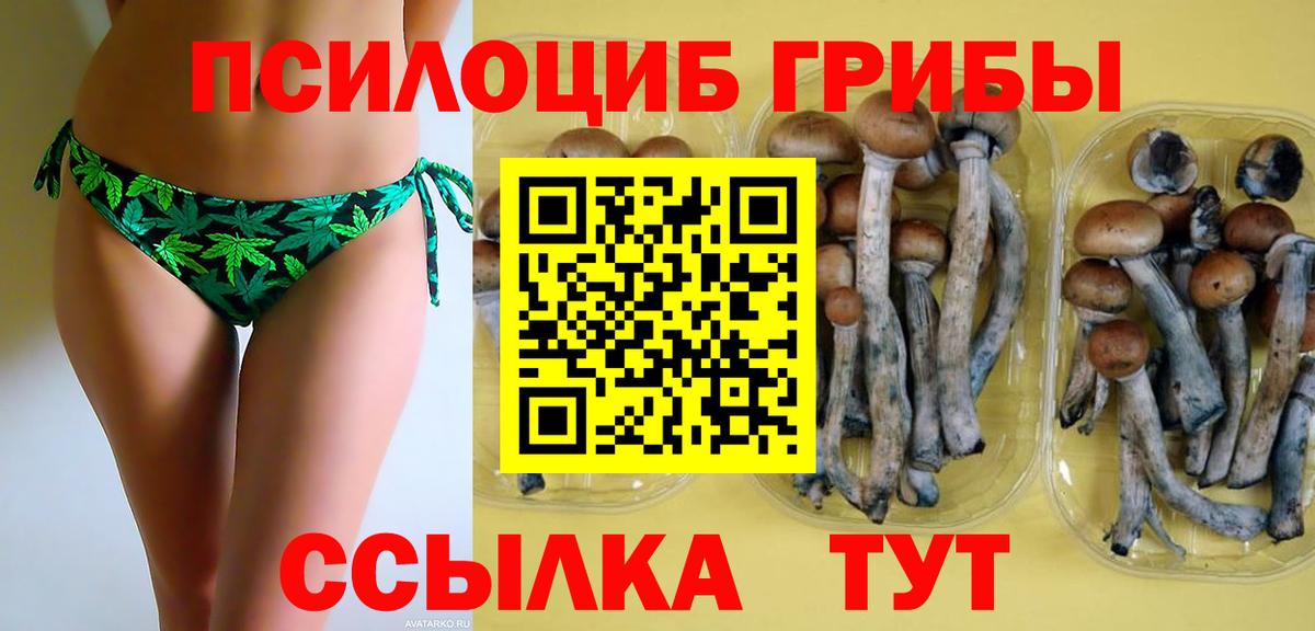 Галлюциногенные грибы MAGIC MUSHROOMS  купить  сайты  Дербент  Вход с VPN 