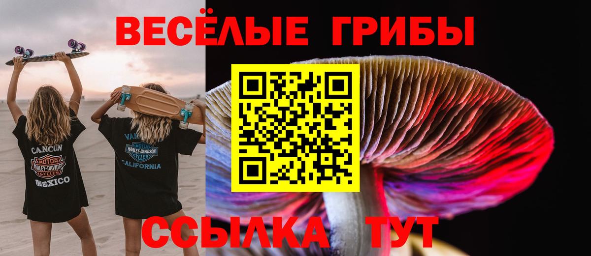 Псилоцибиновые грибы мухоморы Дербент